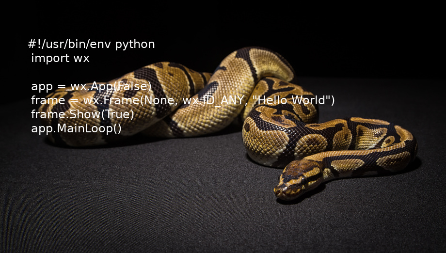 Python