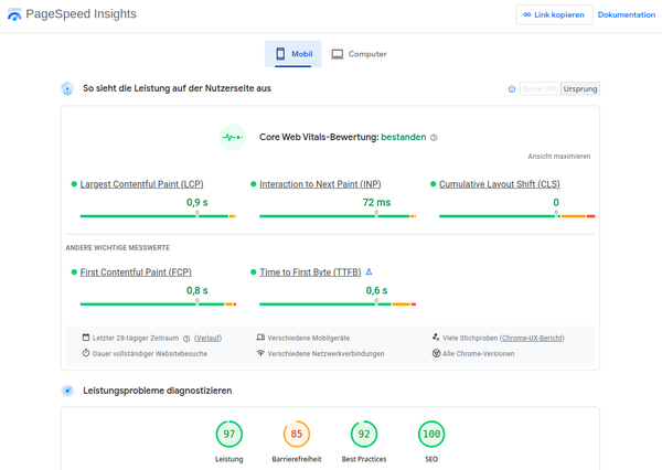 Das Bild zeigt eine Auswertung eines SEO Performance Tests als Beispiel.